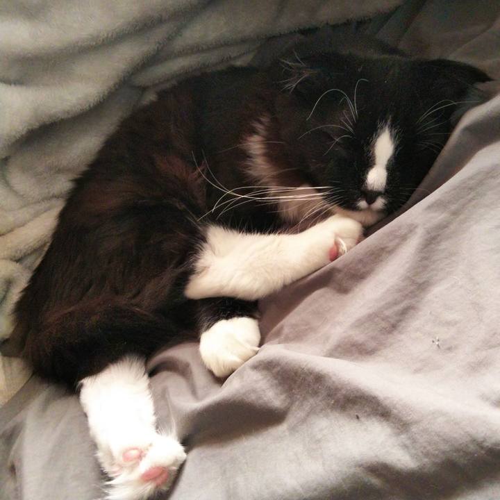 B9ef36ce ba1b 40ad 8b89 fb368520ccce 1646893919799