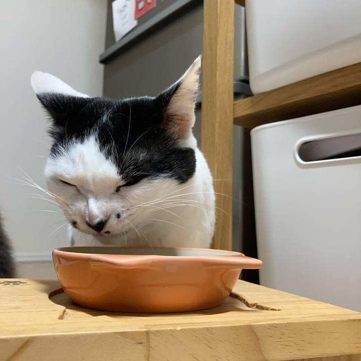 B9ef47e7 616c 42e5 a2fa 34831011920f 1760647927394