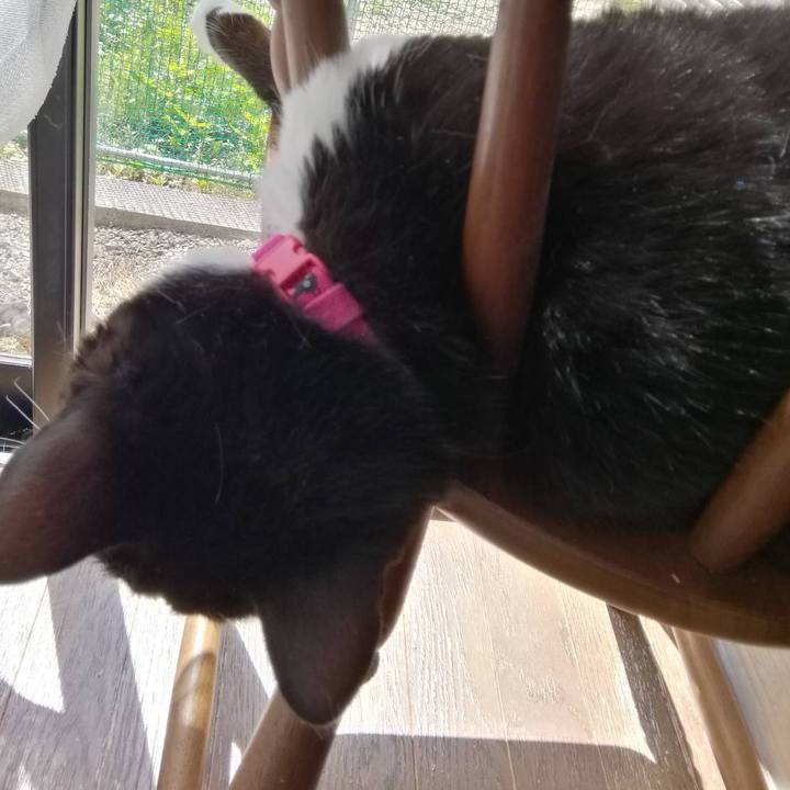 B9ef5ca0 fd1a 4a3e 821a 59df5618184a 1561345645888