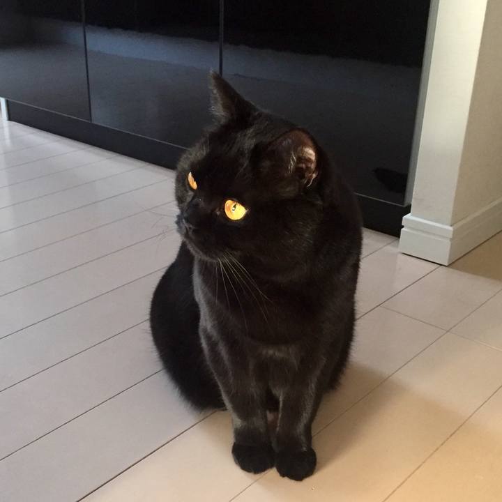 B9ef681a b308 4ade acd4 c51d1c9eed8c 1552195356523