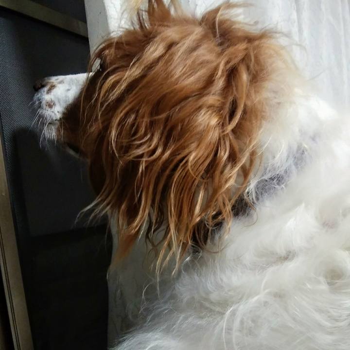 B9efa6d8 b45a 4d20 930b 85b837cbbde7 1566042128652