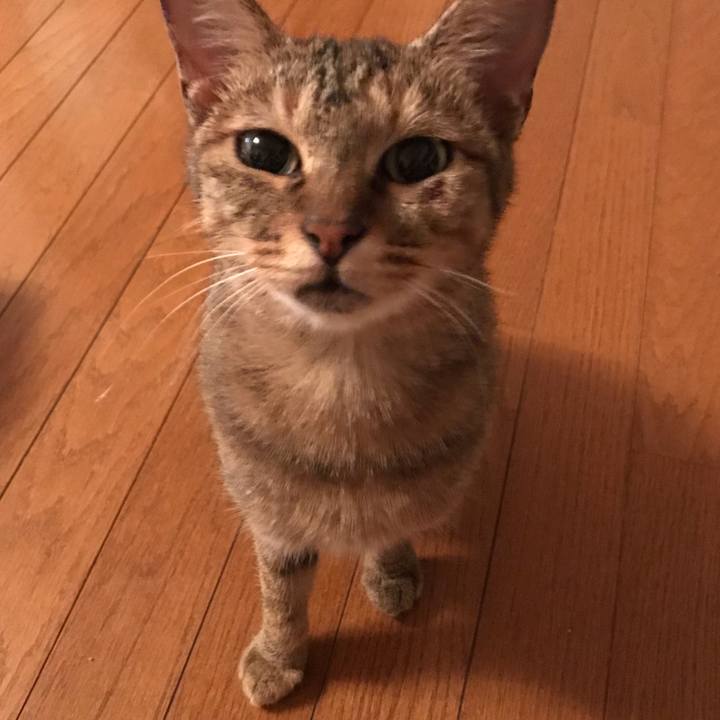 B9efa920 dbe5 4471 9a75 92a996e5c670 1570632809497