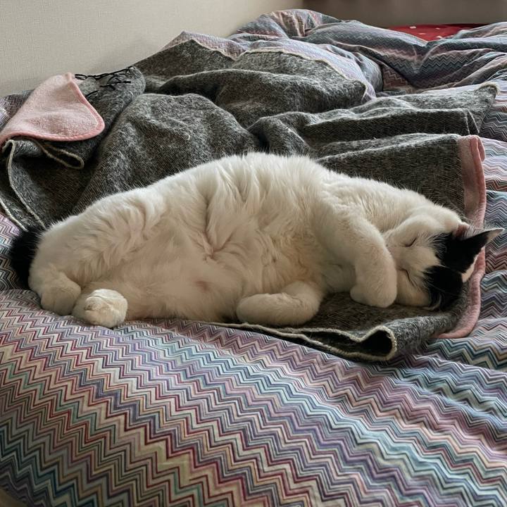 B9efec14 2b85 47dd b1b1 f3e30708bc4b 1668728199988