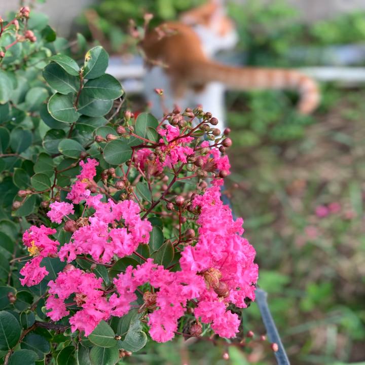 B9eff41c 63dc 45a2 b6e4 150e4b01913b 1567344540898