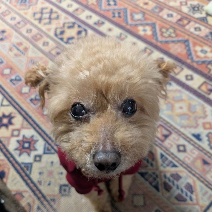 B9f0a6a2 fe9a 46b4 aaf9 858afd7c514b 1768604906896