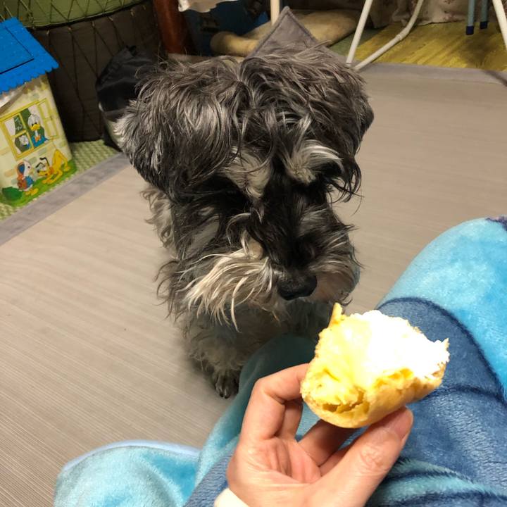 B9f0fbd7 6111 4116 8da1 d84dc3972fa7 1580524705172