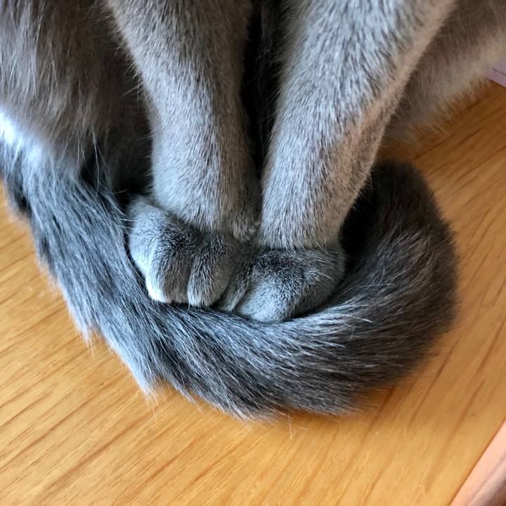 B9f154a1 853a 452f b33b d065980ebd1e 1583810832438