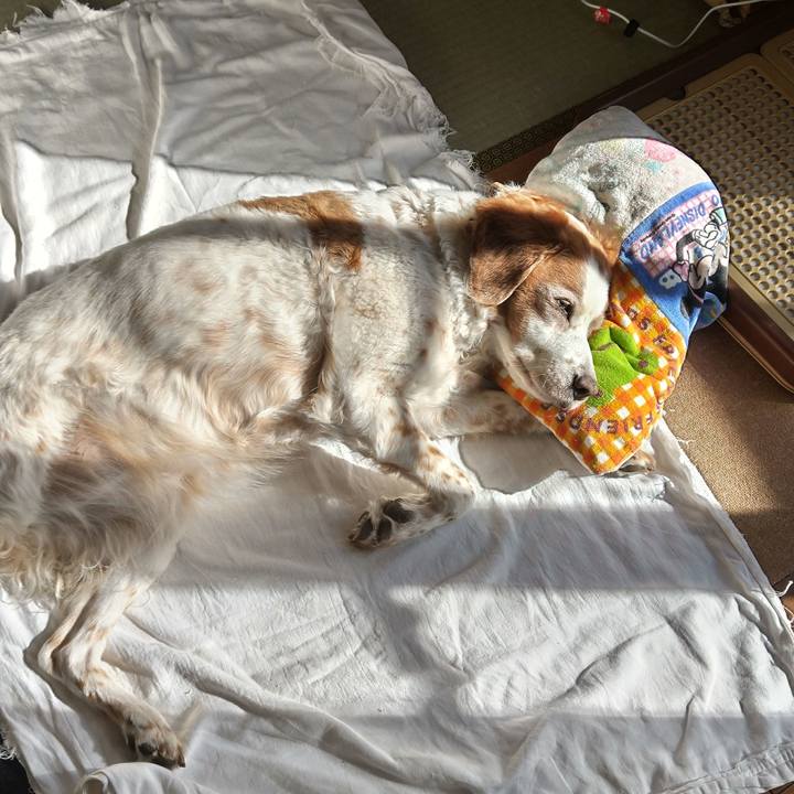 B9f15591 50ee 4bd3 9021 f43fc857fd24 1707284099756