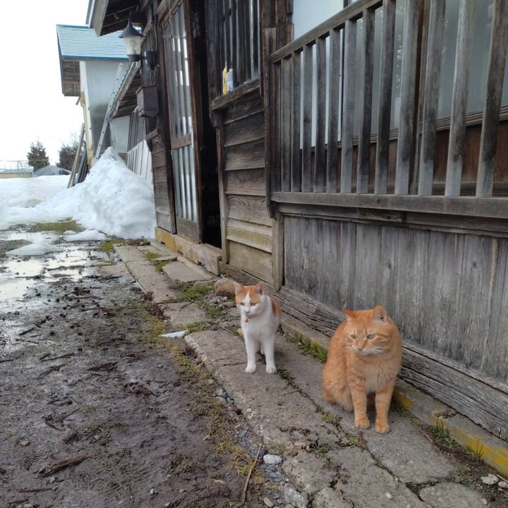 B9f15b4e dbb2 46ed 8b5f 493b1b921e0c 1740813073322