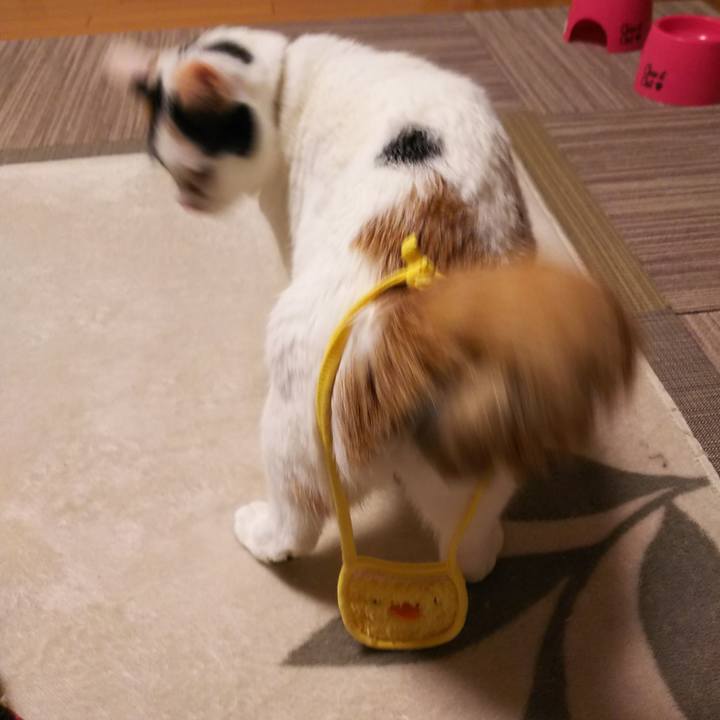 B9f17f8c 1366 46ba 8174 ade46ad3233f 1551869400335