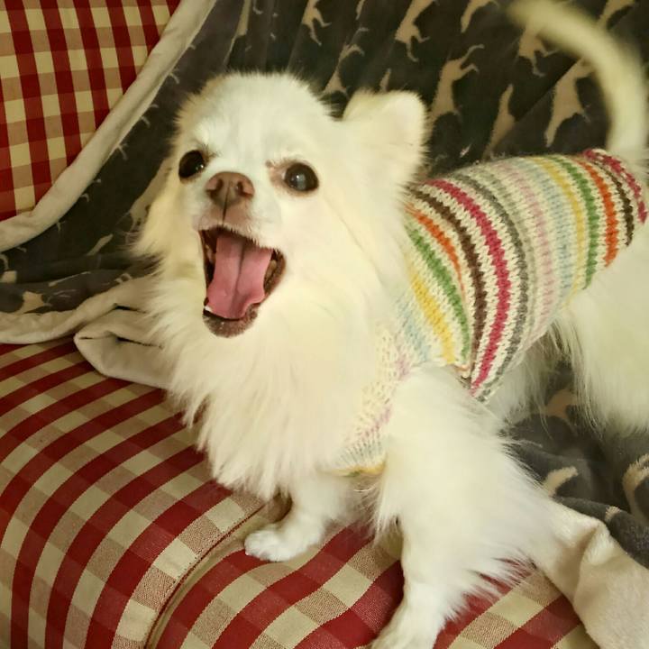 B9f198ca 7a24 4030 aab3 cb8d6f34dbc2 1517835464515