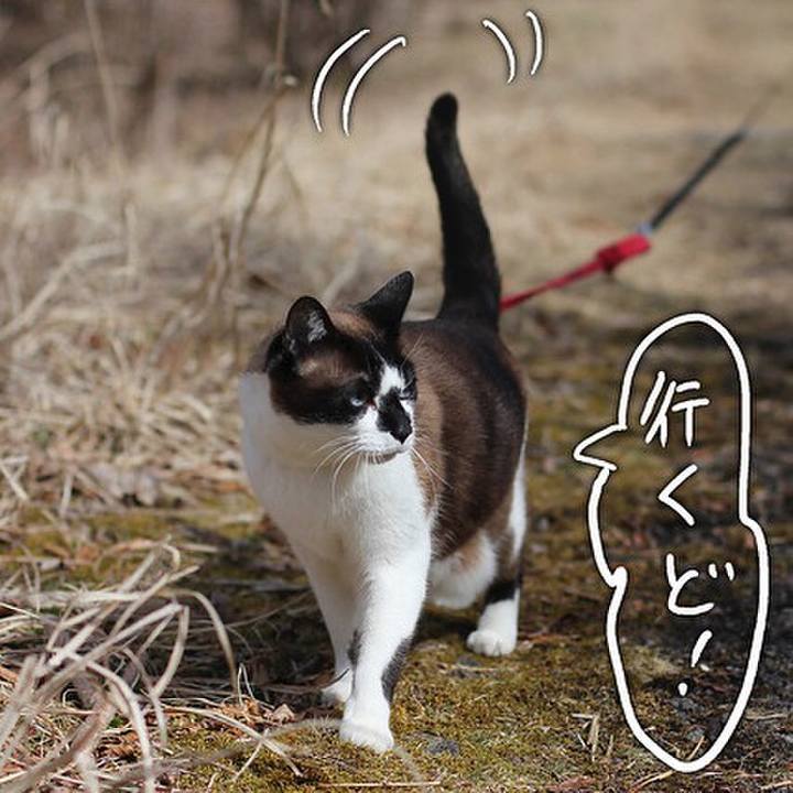 B9f1b52c 207e 480e 9629 410f530b804f 1604273244084