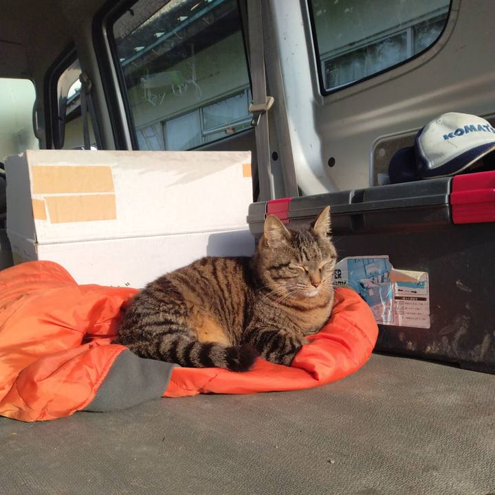 B9f1ce04 bfcf 465e 9cce 200d88ed1f4f 1683238831445