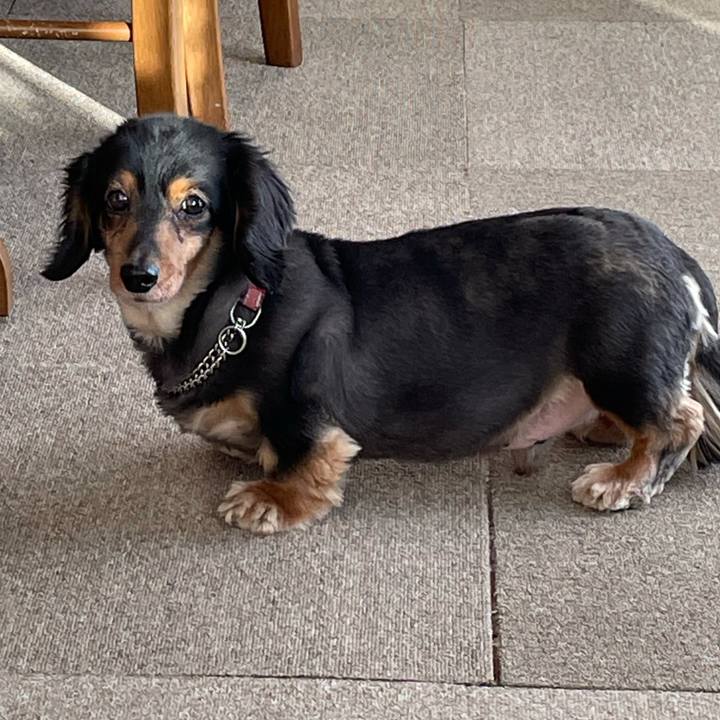 B9f1f1f4 73ab 4e43 9e4c e0ba31d162f2 1617832278810