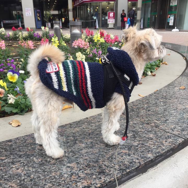 B9f1ff06 a1bb 42fc 8887 516fc1f3136f 1543238038753