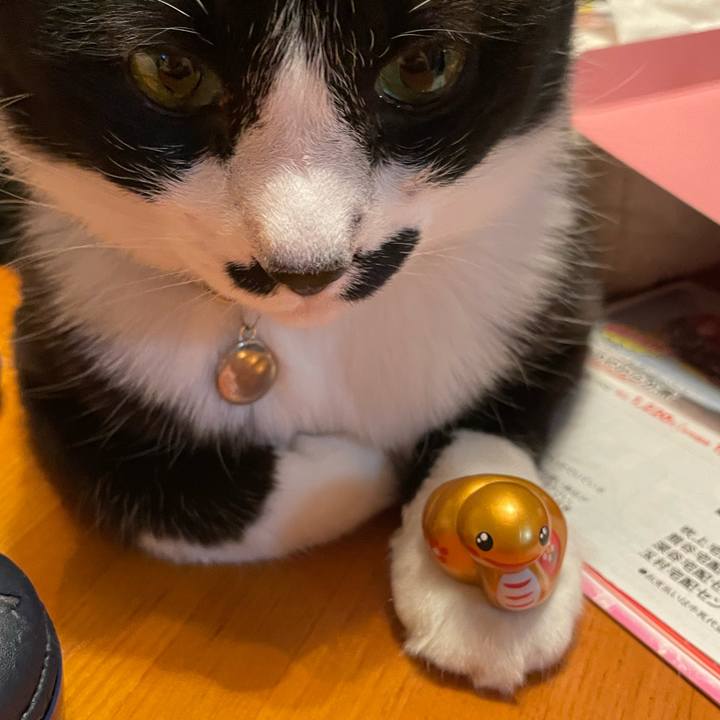 B9f238e3 d352 47eb 90d5 387ceab3f8ff 1737463085550