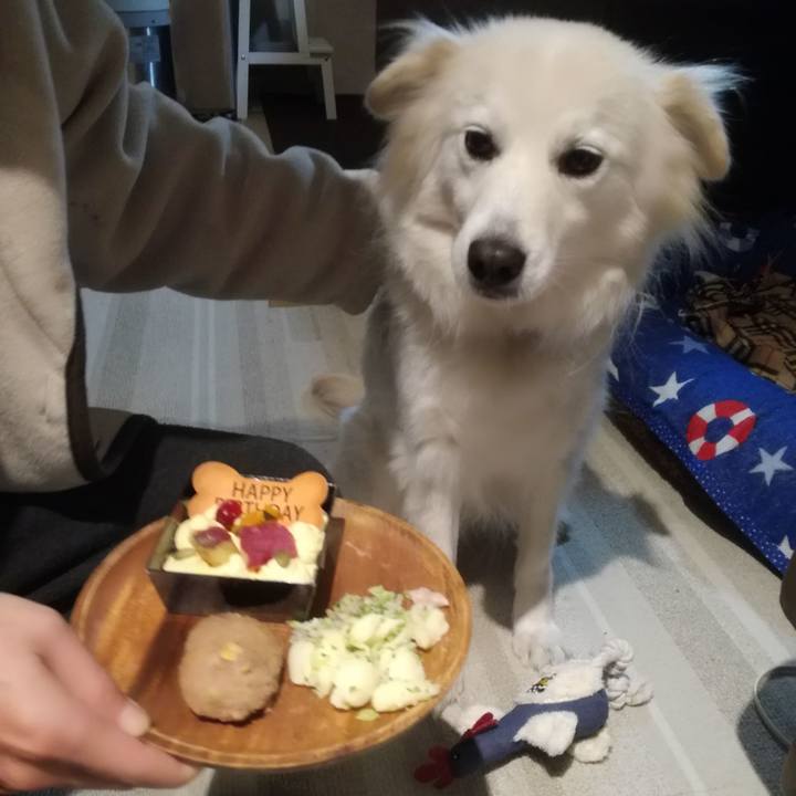 B9f266e4 78c8 4e61 83b5 7ea57a269ae8 1518339401727