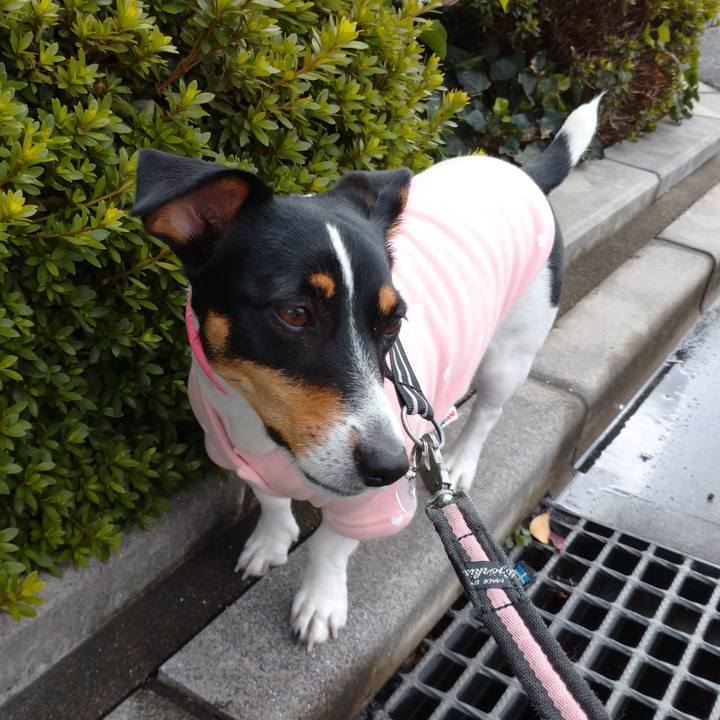 B9f2a02a fc1b 4094 ab87 0edaf23b5ab6 1635320480509