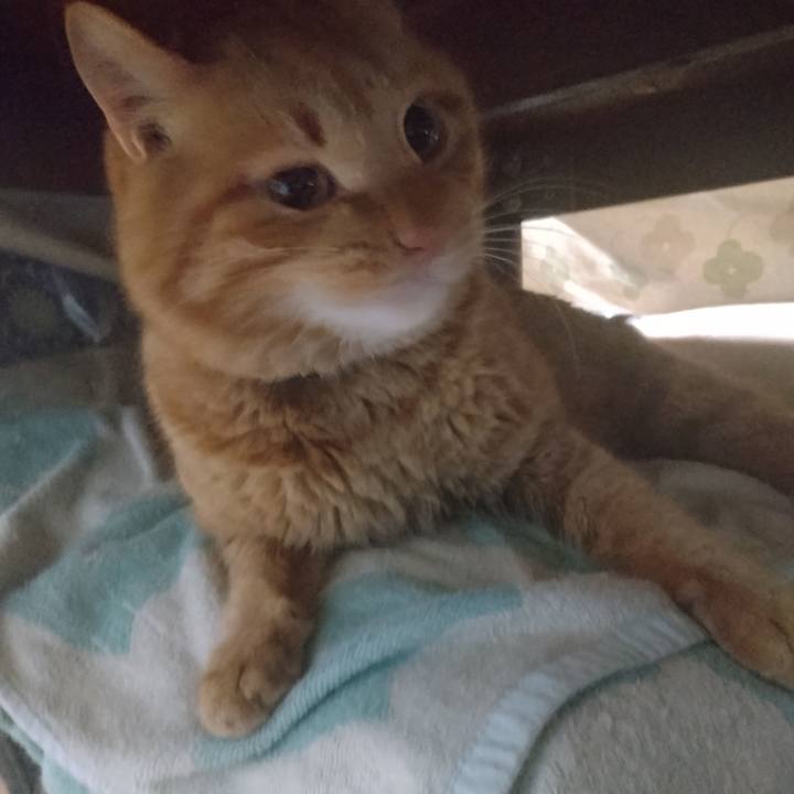 B9f2b257 58a9 4953 b1d6 cf6255809ae5 1704144855669