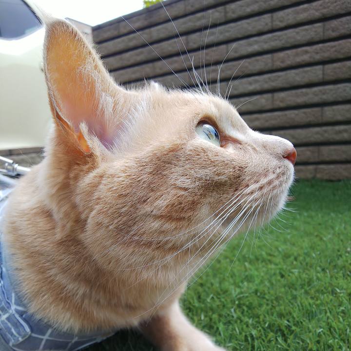 B9f2cb6f 414e 4b8f ae64 df216338f2e8 1661655026944