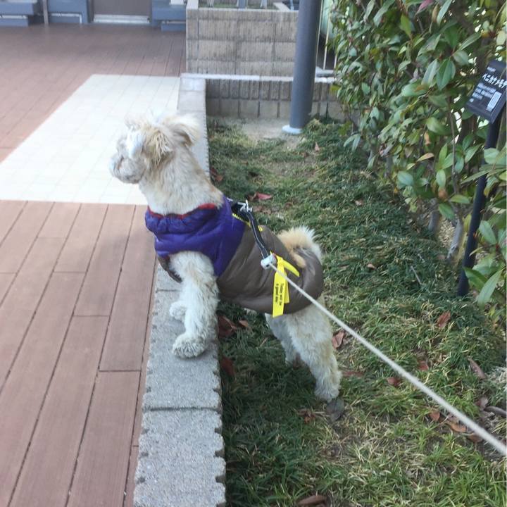 B9f2f0c5 6b4a 44bf 8fc5 409b40a994e3 1518934781624