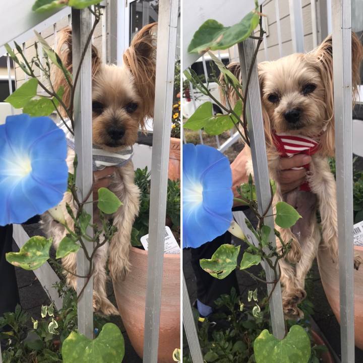 B9f345b1 36a5 4016 add1 f412c7ee7c70 1632305023284