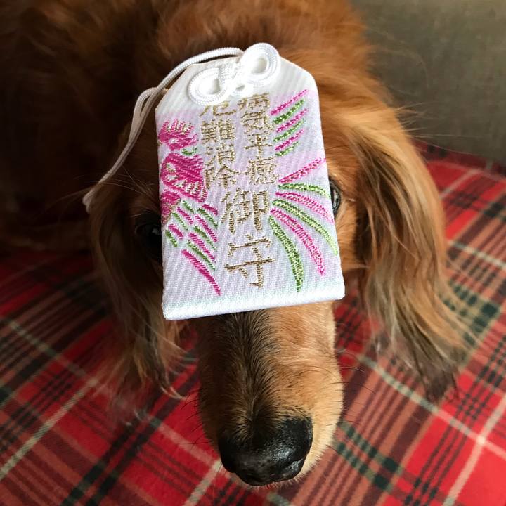 B9f351d2 f8b3 4b57 8b63 c59b10af90f6 1585448679896