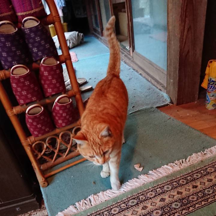 B9f369c4 20cf 413f a567 daace4e872ff 1584348490137