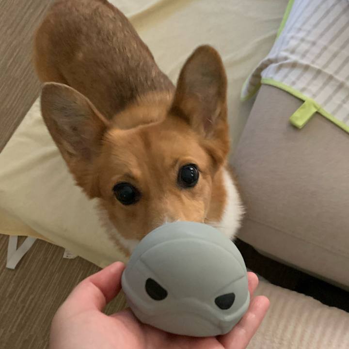 B9f38c41 3a6a 4c8d b3c7 7d160176e056 1596872586876