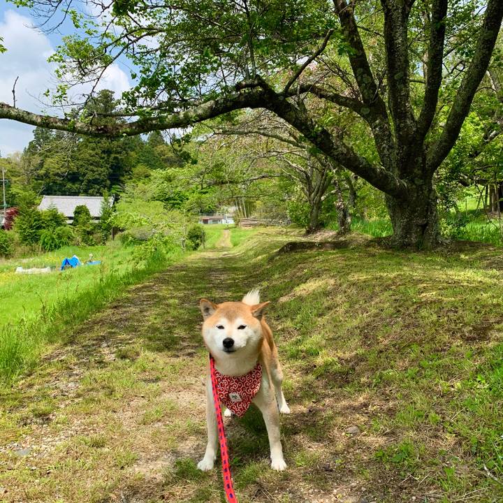 B9f39658 1de6 4fa7 88a7 635ee60109fa 1651311038174