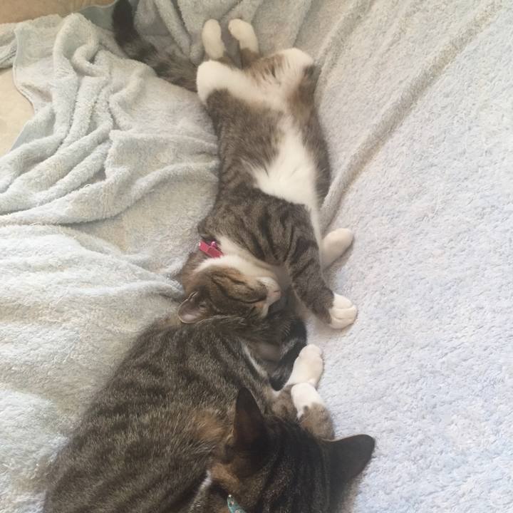 B9f3e6b3 9cd7 45a8 8816 cc375ad28d8c 1660664130971