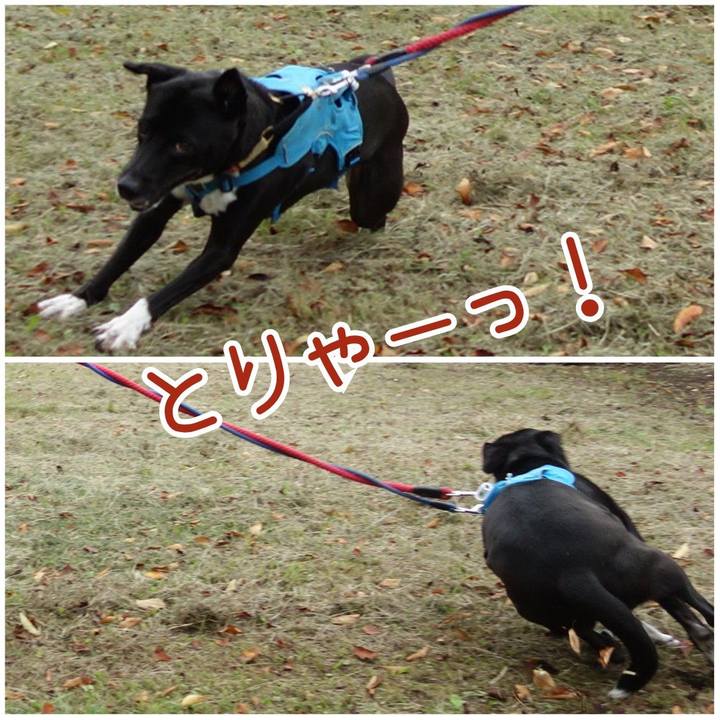 B9f43b24 47cf 4178 abd4 16c87e5599ae 1631836852712