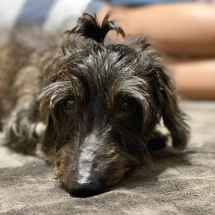 B9f450bc 3e61 4f85 8f96 1e3ba2ff7c64 1576421437327