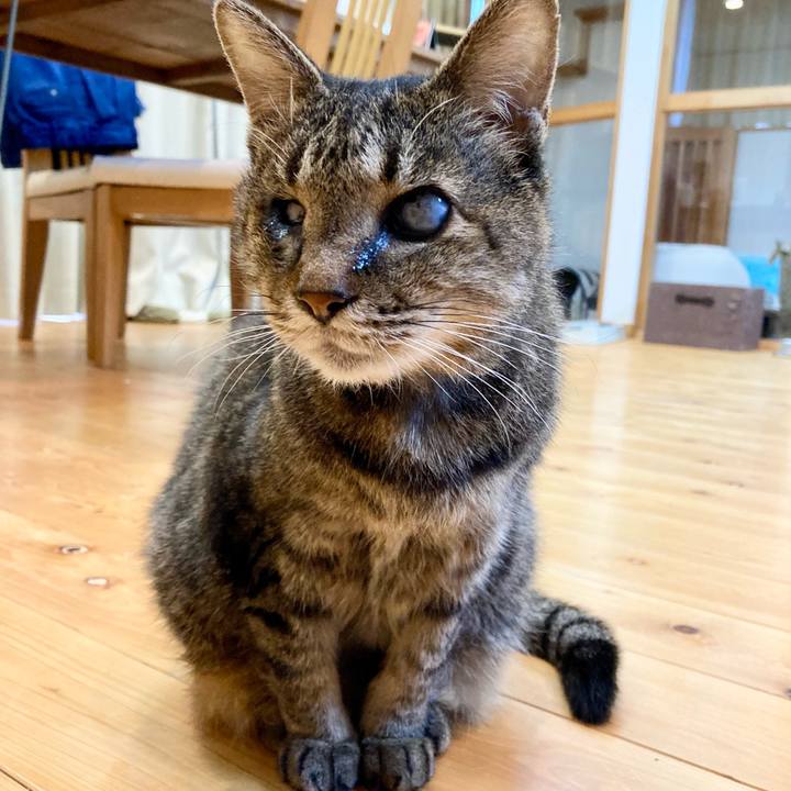 B9f453dd 0879 4ab8 8a21 3037c666ce1d 1673594634538