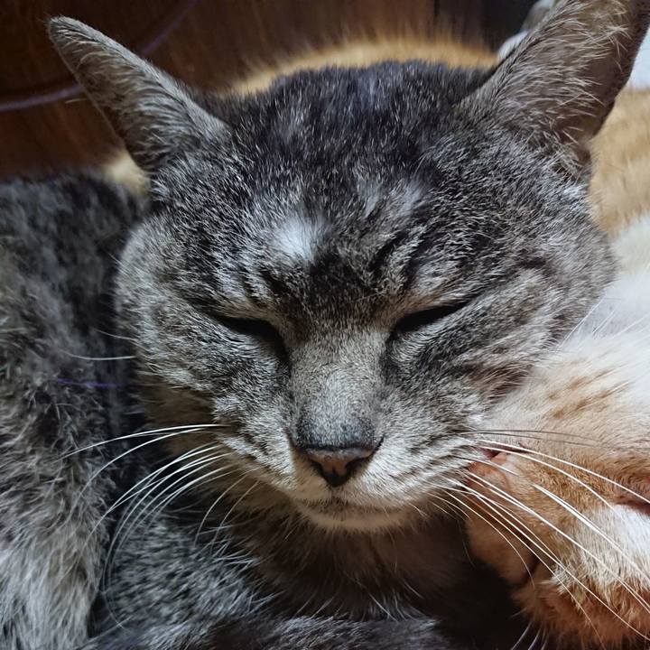 B9f4aa2b 79e7 43d2 a851 ee2f17522f11 1584018536906