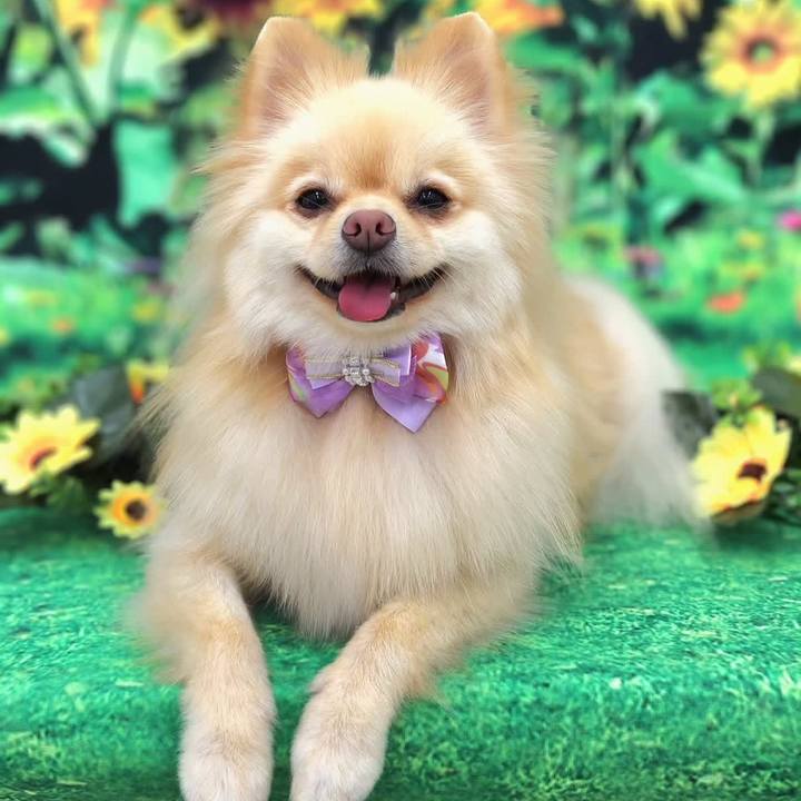 B9f4ae72 477d 4e89 9782 84227402f3f5 1755081817550