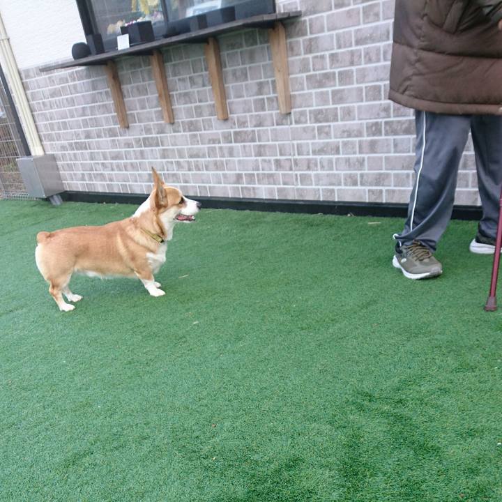 B9f4bdd9 4158 4918 beb9 4f6ba4f91329 1577748378808