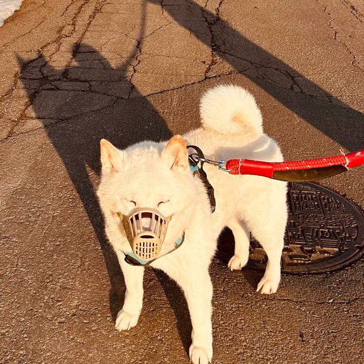 B9f4d3a1 d317 436b ac03 4d80d27c10fa 1773617751476