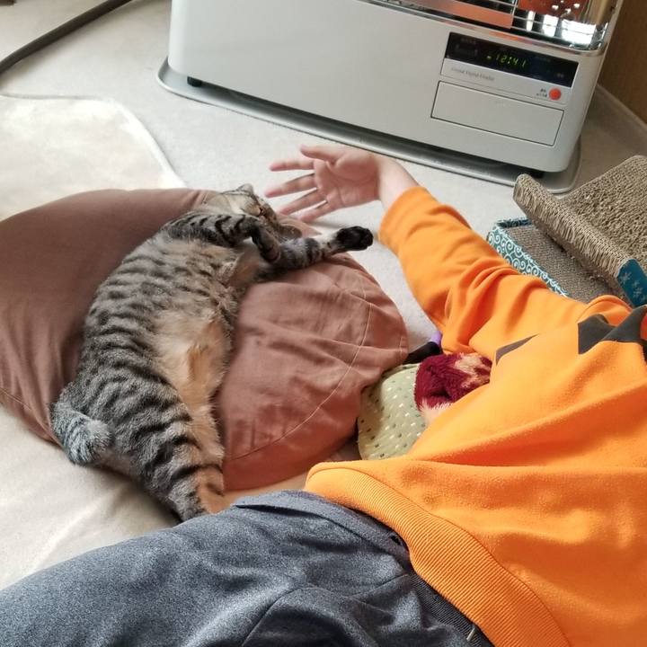 B9f4e9f3 c424 4b17 bfbe b9624d560d70 1685272171659