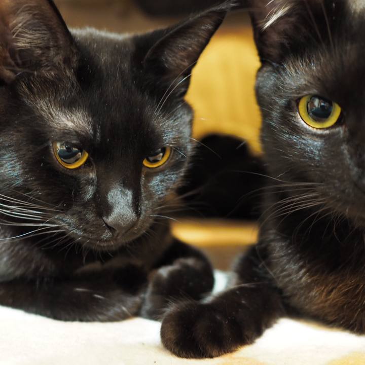 B9f506cc 9eff 4c68 84af 9b5898bf9fd1 1544278548831