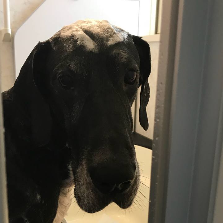 B9f50cec 444e 4f4d a29b e7c088bef155 1531010970467