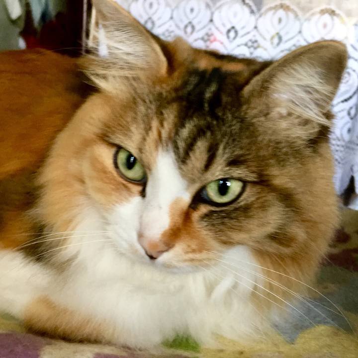 B9f5250c 572a 4531 9521 ee969b9cab05 1558925819781