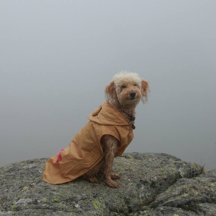 B9f53c7c 6ba2 4fed 91fc 58a3e78ffdae 1564667973727