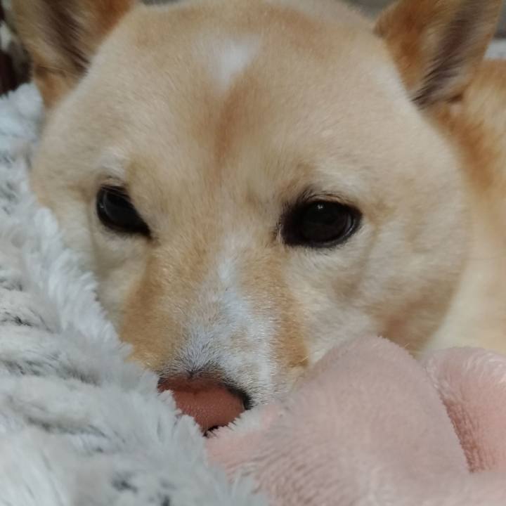 B9f56872 964e 4102 b555 cd276df31d99 1581685221213