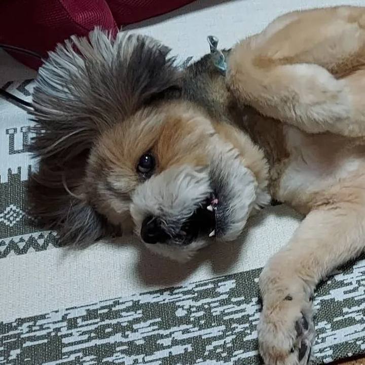 B9f58016 df7f 4b95 a784 97cab23faab9 1656913454962