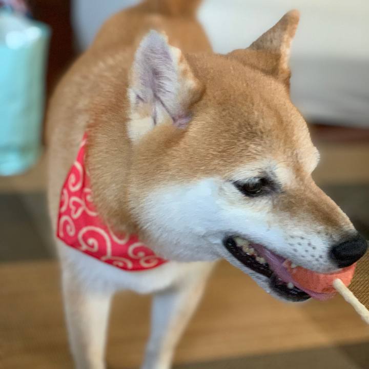 B9f5ff75 dca1 4a99 82d4 c3efdc93bb3b 1564905336487