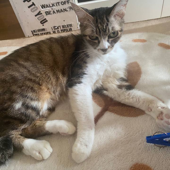 B9f615d1 5ff5 4867 a9a2 6f2428f9aac9 1600739947863