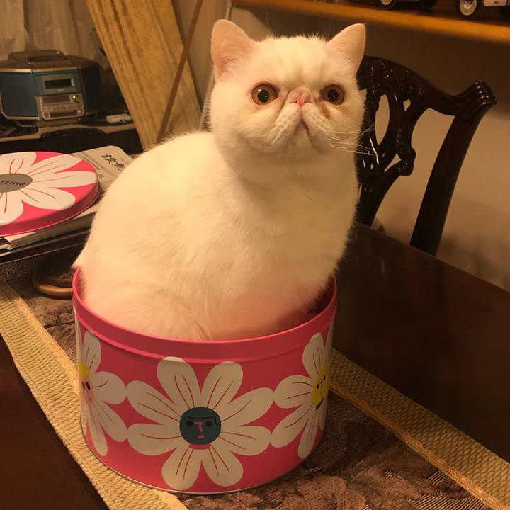 B9f61e20 d0e5 4dfe 9c8d 8afd94794f57 1642932778496