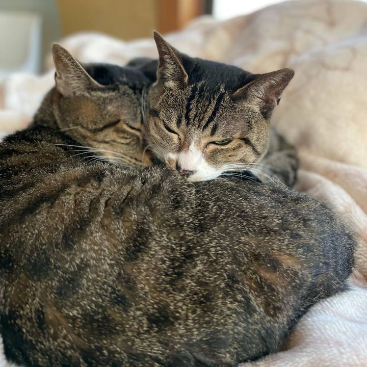 B9f62e05 d222 4480 8a4b 99c26232b6d3 1610675304032