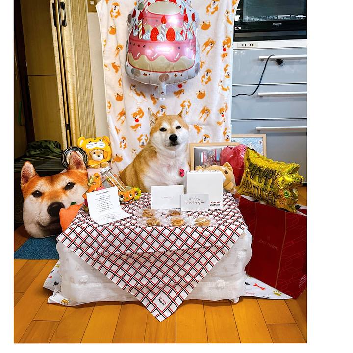 B9f63fa5 66df 461a a447 2176a619dda7 1663146575275